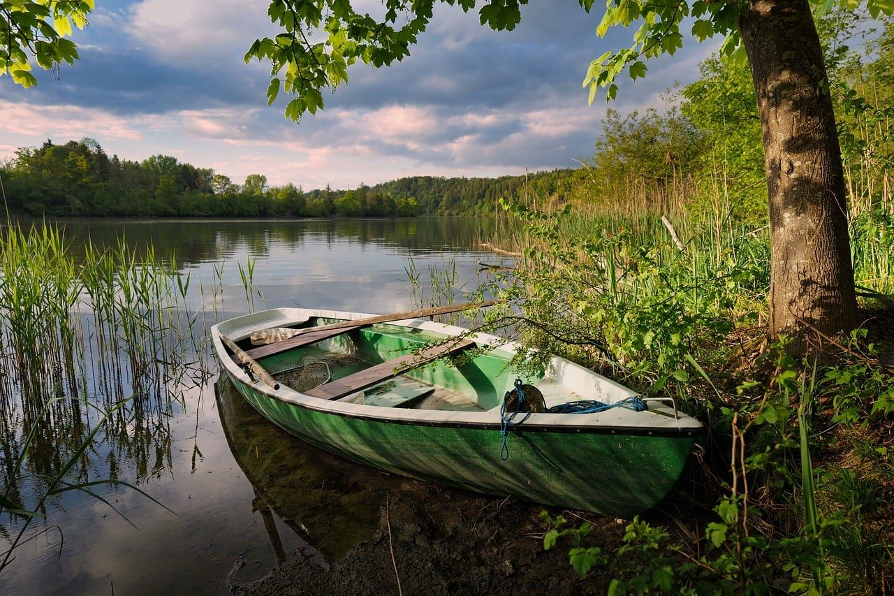 Horská louka za svítání – zelené louky, ranní mlha a čistý vzduch